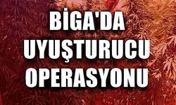 Biga'da uyuşturucu operasyonu