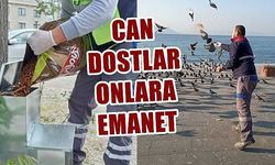 Can dostlar onlara emanet