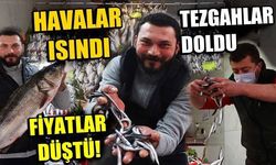 Çanakkale’de havalar ısındı balık tezgahları doldu, fiyat düştü (VİDEO)