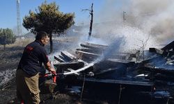 Aliağa'da yol kenarındaki otluk alanda yangın