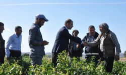 Kaymakam Erdinç Dolu, kırsal üreticileri ziyaretleriyle sahada 