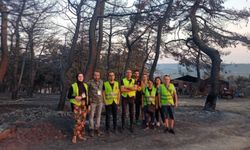 Haluk Levent ve AHBAP’tan Çanakkale’de yangınlarda zarar gören köylülere destek