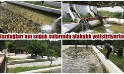 Kazdağları’nın soğuk sularında alabalık yetiştiriyorlar (VİDEO)