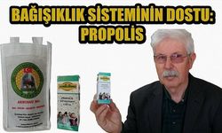 Bağışıklık sisteminin dostu: Propolis