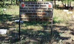 Çanakkale'de 'şehitlik' olarak bilinen tarihi mezarlık koruma altına alındı