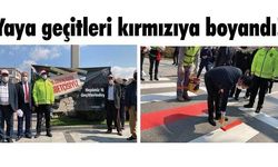 Yaya geçitleri kırmızıya boyandı! (VİDEO)