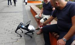 Sokakta gezen robot köpeğe vatandaştan simit-çay ikramı