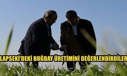 Lapseki’deki buğday üretimini değerlendirdiler