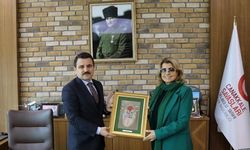 Tansu Çiller, Çanakkale Tarihi Alan’da