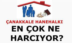 Çanakkale Hanehalkı En çok Ne Harcıyor?