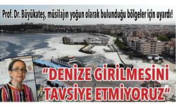 Prof. Dr. Büyükateş, müsilajın yoğun olarak bulunduğu bölgeler için uyardı! 'DENİZE GİRİLMESİNİ ÇOK TAVSİYE ETMİYORUZ'
