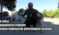 O çiftçi, köpeklerini traktöre neden bağlayarak götürdüğünü açıkladı (VİDEO)