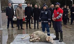 Yeni hizmet araçları için kurban kesildi