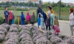 Aromatik ve Tıbbi Bitkiler Parkı'na ziyaret akını