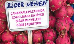 Çanakkale pazarında fazla yok ama fiyatı şaşırtıyor