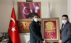 Yenice kaymakamı Göktaş, Kalkım'da incelemelerde bulundu