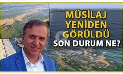 Marmara Denizi'nde Yeniden Görülen Müsilajın Nedenini Açıkladı (VİDEO)