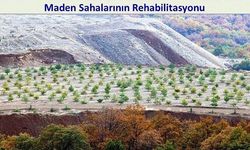 Çanakkale ormanlarında rehabilitasyon projeleri hayata geçiriliyor