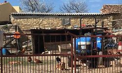 İşte İmamoğlu'nun mal varlığında bulunan Çanakkale'deki evi