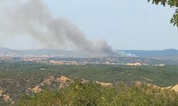  Çanakkale'de bir yangın daha: Gelibolu Yarımadasında dumanlar yükseliyor! 