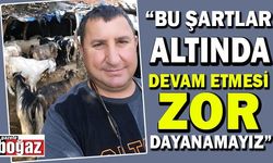 ‘Önümüzdeki yıllarda hayvan bulamayabiliriz’