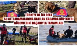 Jandarmanın kadavra köpekleri Çanakkale’de ilki başardı