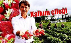 Kalkım çileği için coğrafi işaret başvurusu (VİDEO)