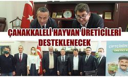 Bu proje ile Çanakkaleli hayvan üreticileri desteklenecek