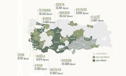 242 bin 904 depremzede öğrencinin nakli yapıldı