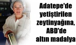 Adatepe'de yetiştirilen zeytinyağına, ABD'de altın madalya
