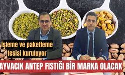 Ayvacık Antep Fıstığı Bir Marka Olacak