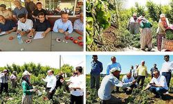 Hasarın bilançosu rakamlarla açıklandı