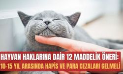 Hayvan haklarına dair 12 maddelik öneri: 10-15 yıl arasında hapis ve para cezaları