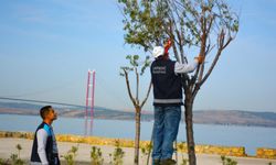 Lapseki’de çevre düzenleme çalışmaları sürüyor