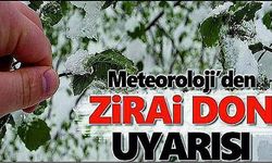 Zirai don uyarısı!