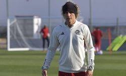 Şenol Güneş, David Luiz'e sıcak bakıyor