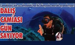 'Dalış camiası, Çanakkale’nin dalışa açılacağı günü bekliyor' (VİDEO)