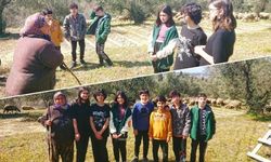 Açık havada hayvanları gözlemlediler