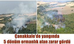 Çanakkale'de yangında 5 dönüm ormanlık alan zarar gördü