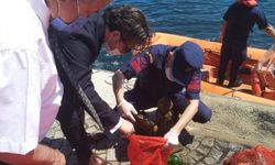 5 Haziran Dünya Çevre Günü etkinliklerle kutlandı