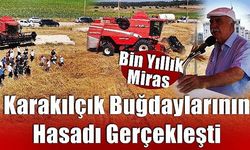 Bin Yıllık Miras Karakılçık Buğdaylarının Hasadı Gerçekleşti