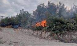  Çanakkale'deki orman yangınıyla ilgili son dakika!