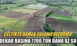 Çeltikte damla sulama reformu