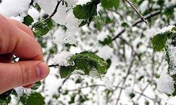 Buzlanma ve Zirai Don Riskine Dikkat!..