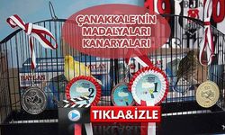 Türkiye Şampiyonası’nda, 5 madalya kazandılar