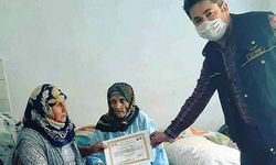 Asırlık çınara fidan sertifikası