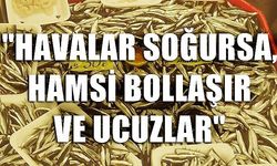 Hamsinin bollaşması ve ucuzlaması havaların soğumasına bağlı (VİDEO)