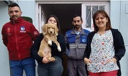 21 köpek ve 32 kedi de yeni yuvasında