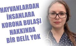 Hayvanlardan insanlara korona bulaşı hakkında bir delil yok