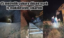 15 metrelik çukura düşen eşek, iş makinesiyle çıkarıldı